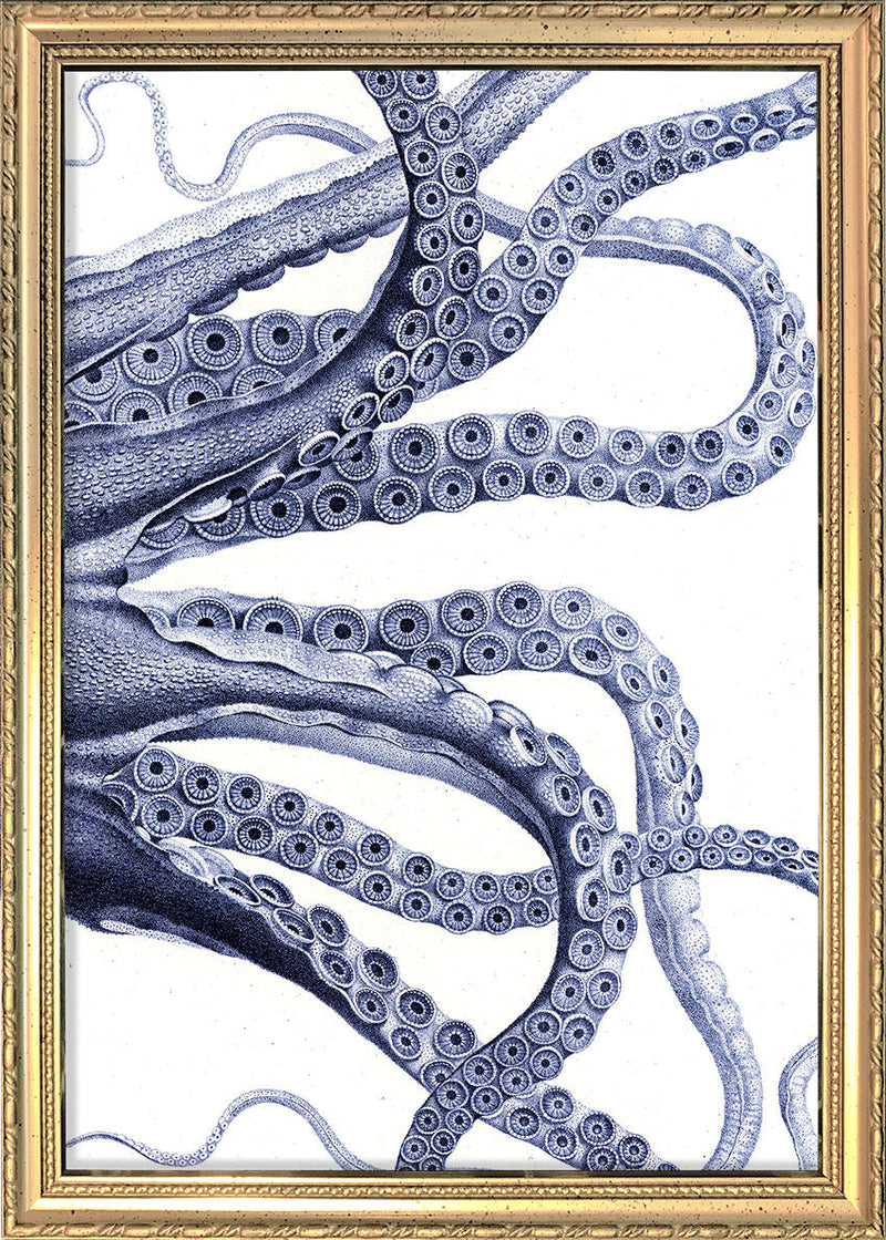 Octopus - detail I.