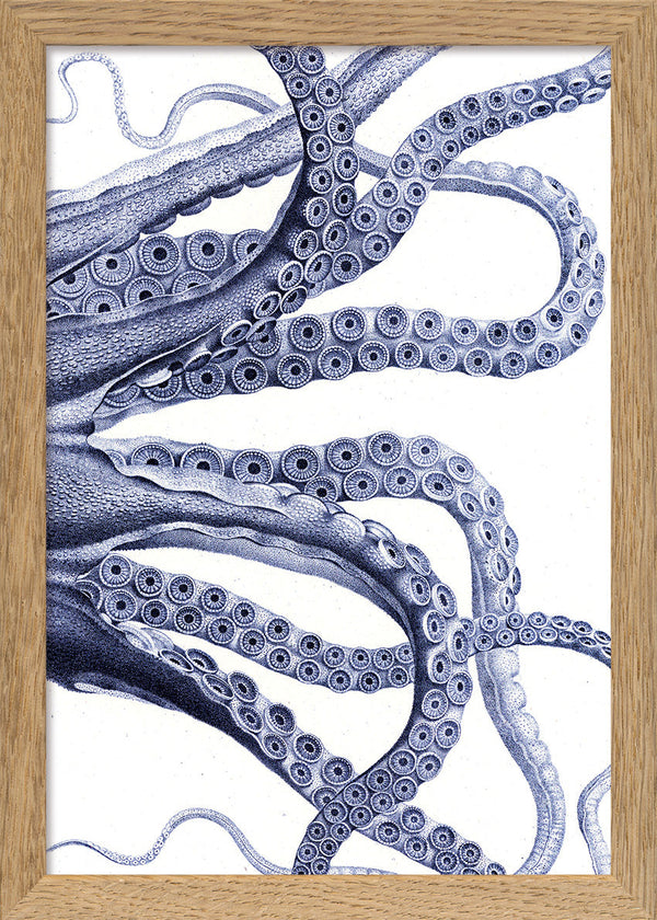 Octopus - detail I.
