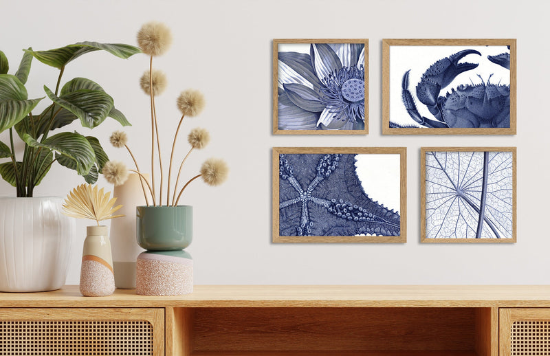 Sea Star bottom view - detail