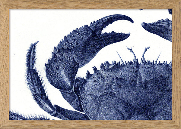 Crab - detail
