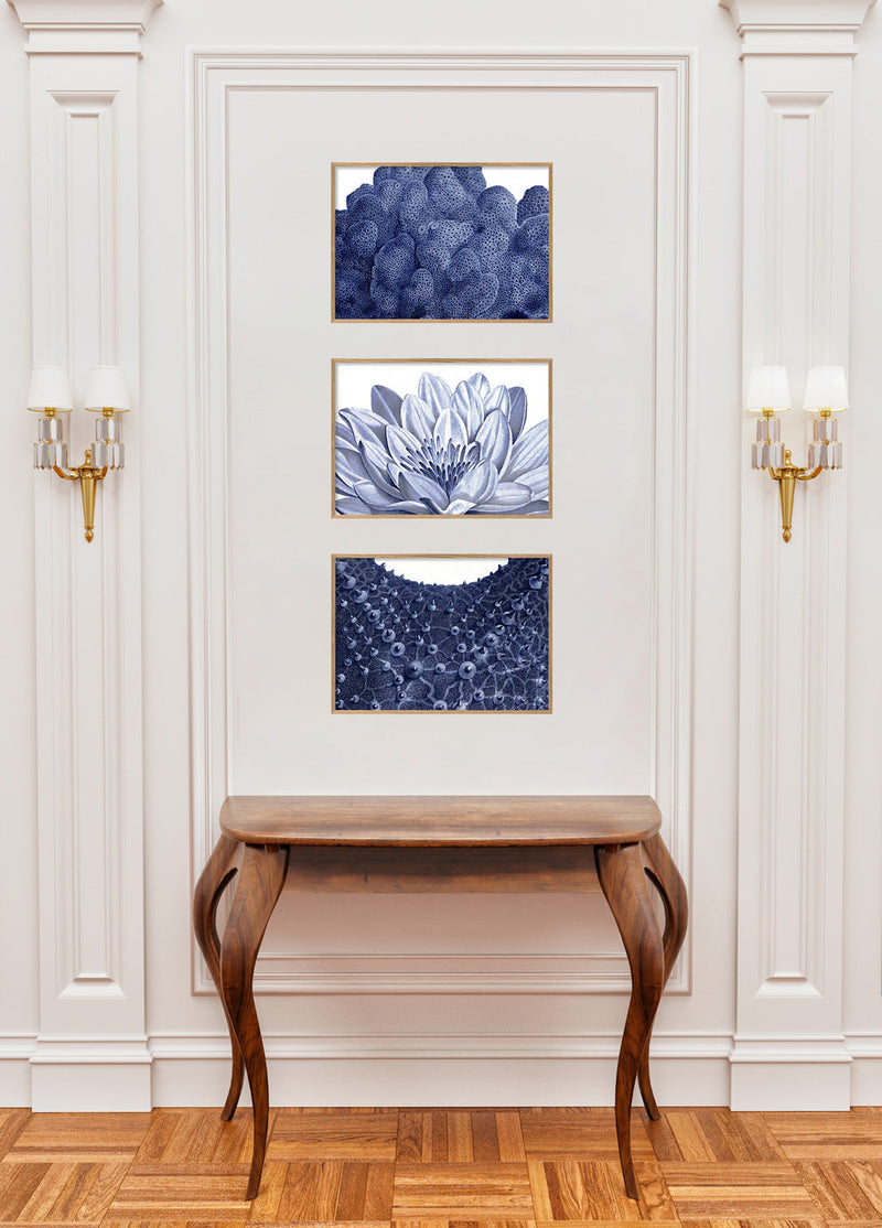 White Lily - detail I.