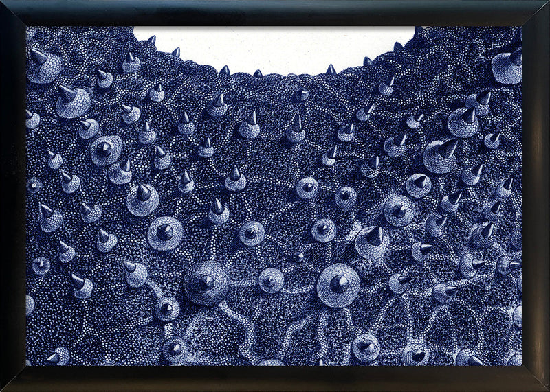 Sea Star top view - detail I.