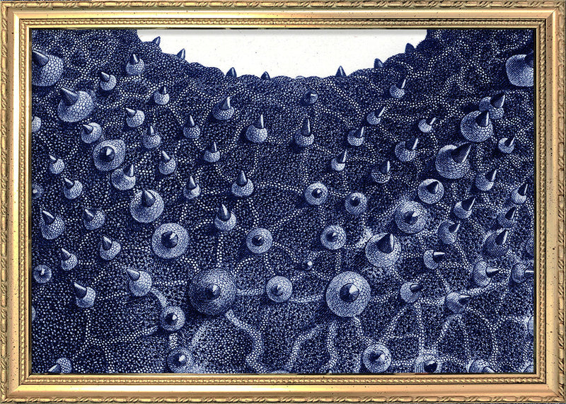 Sea Star top view - detail I.