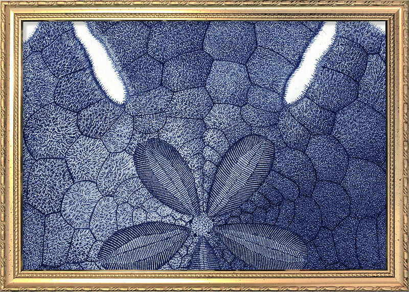 Sea Urchin without Spines - detail