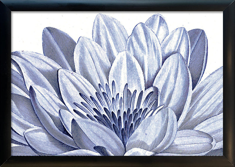 White Lily - detail I.