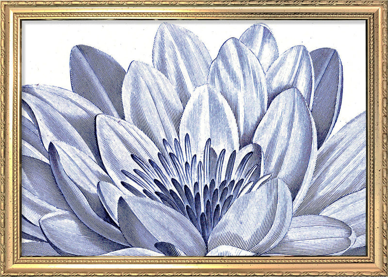 White Lily - detail I.