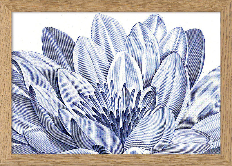 White Lily - detail I.