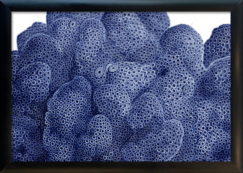 Stony Corals - detail II.