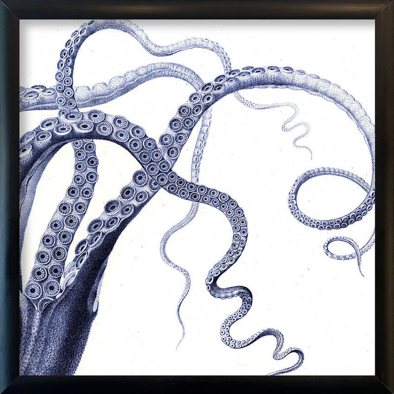 Octopus - detail II.