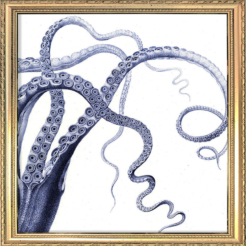 Octopus - detail II.