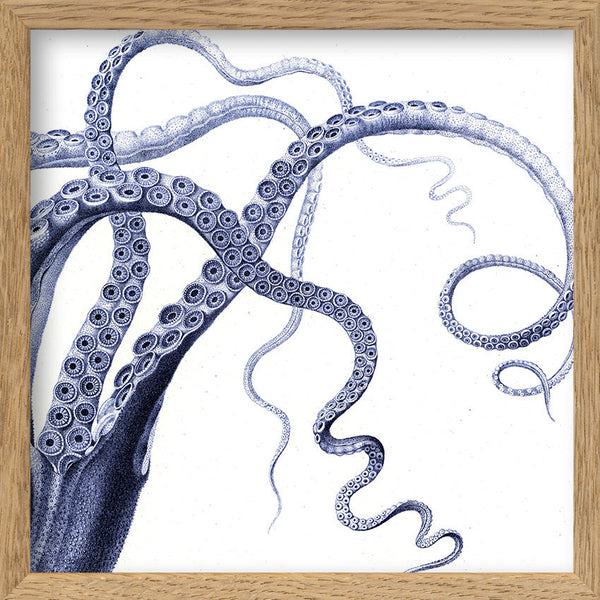 Octopus - detail II.