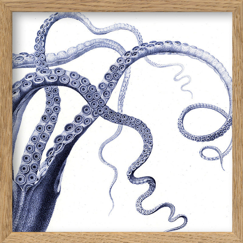 Octopus - detail II.