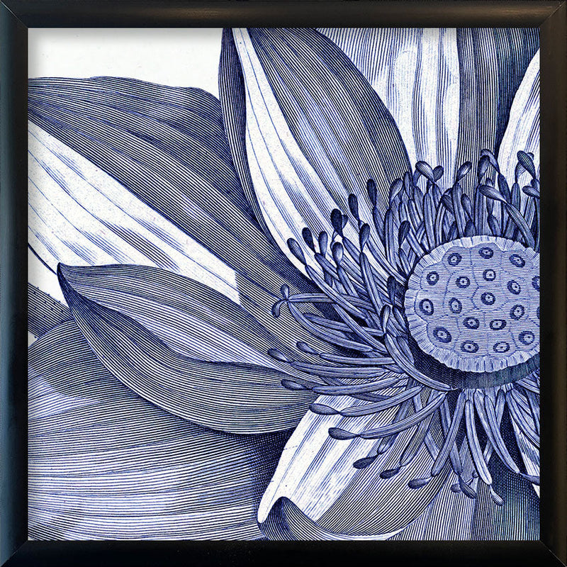 Sacred Lotus - detail