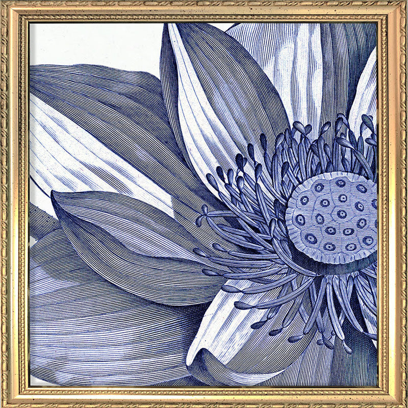 Sacred Lotus - detail