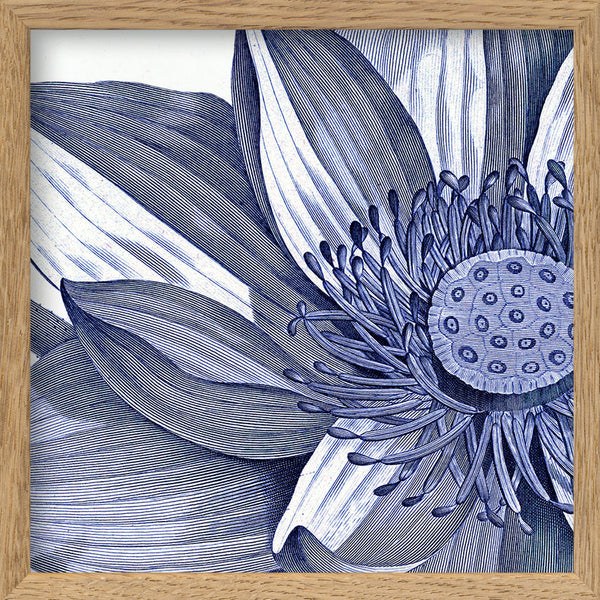 Sacred Lotus - detail