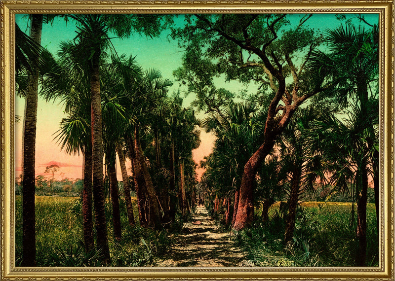 Old causeway near Ormond