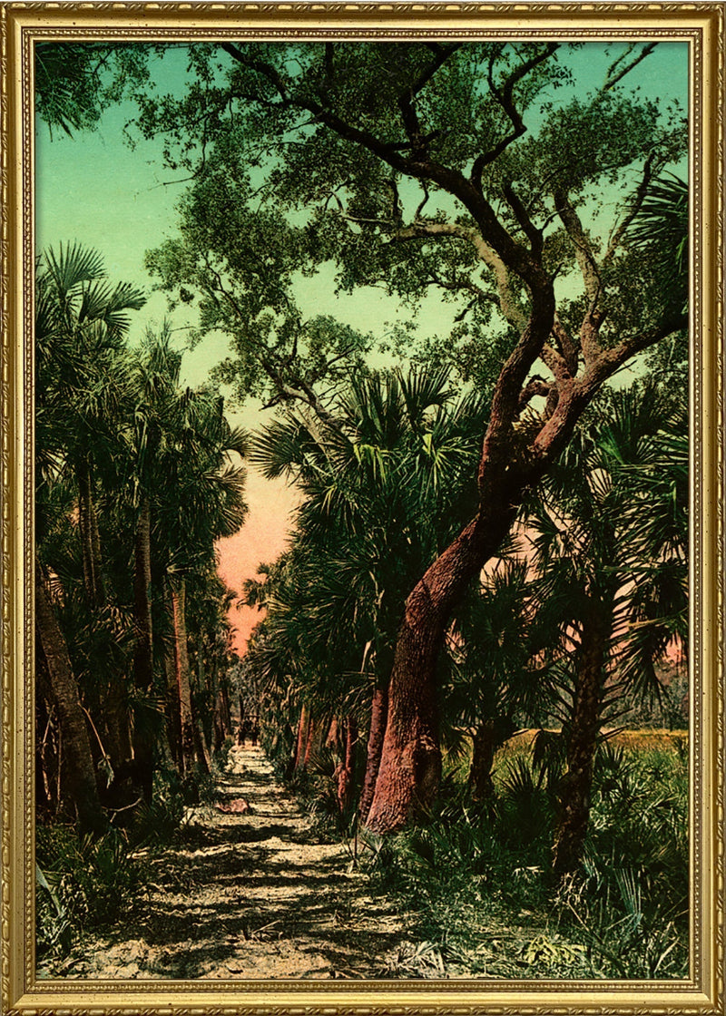 Old causeway near Ormond