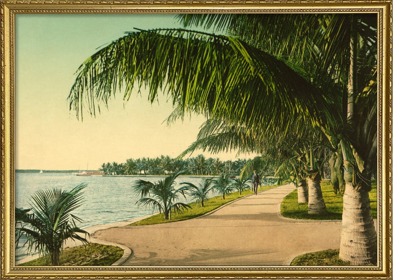 The Walk at Palm Beach