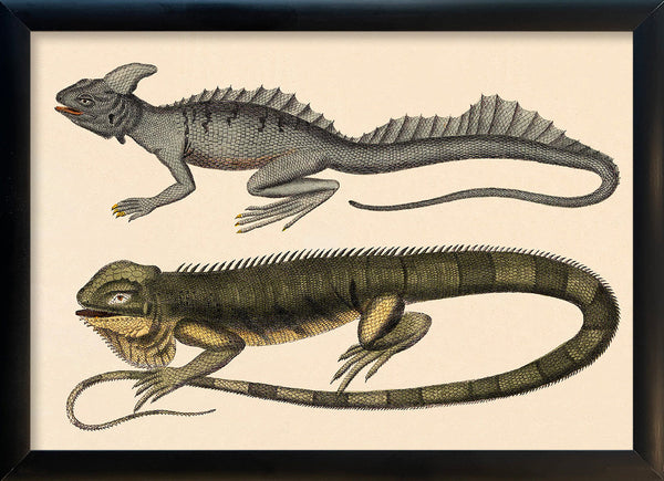 Two Lizards. Mini Print