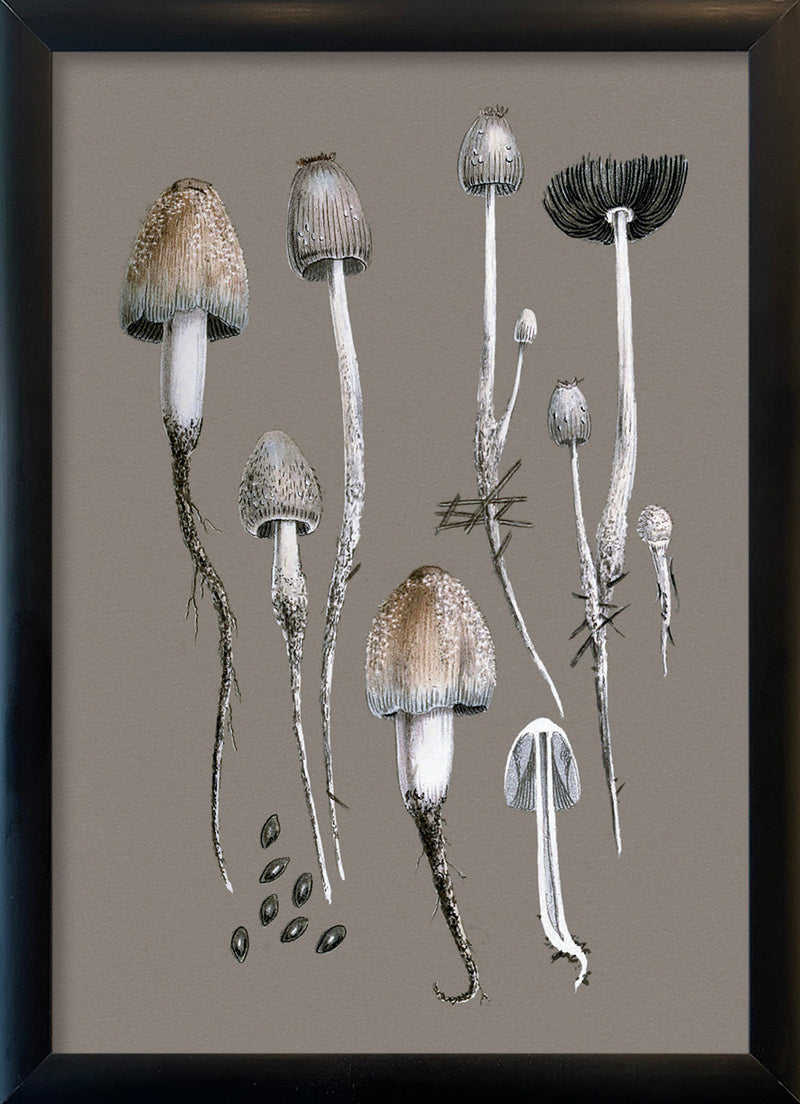 Fungi and Details. Mini Print