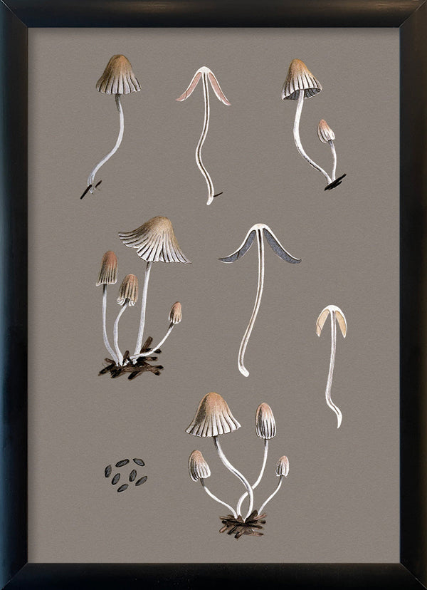 Small Fungi and Details. Mini Print