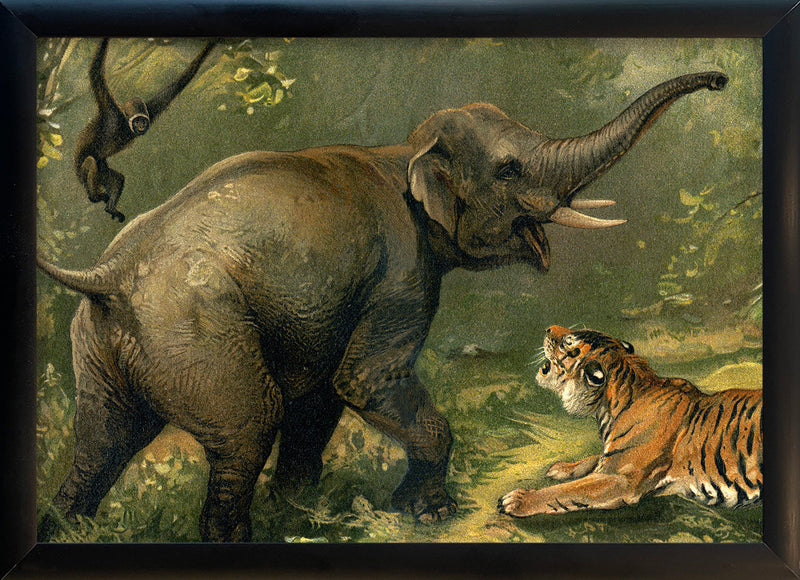 Elephant and Tiger. Mini Print