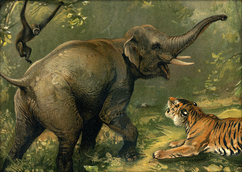 Elephant and Tiger. Mini Print