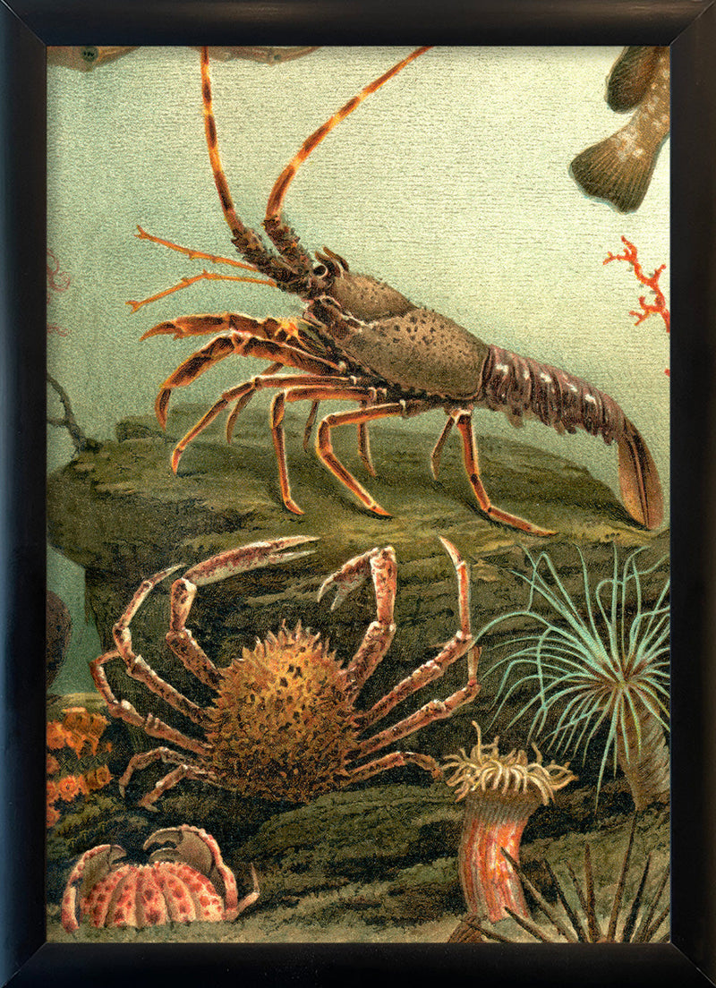 Under the Sea Lobster and Crab. Mini Print