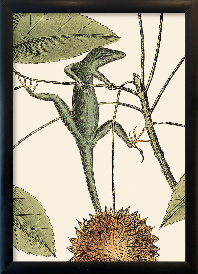 Lizard and Sweet Gum Tree Close Up. Mini Print