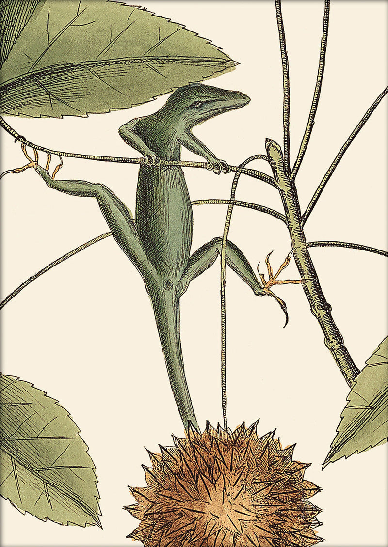 Lizard and Sweet Gum Tree Close Up. Mini Print