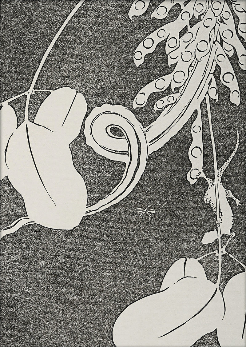 Natural Study II. Mini Print