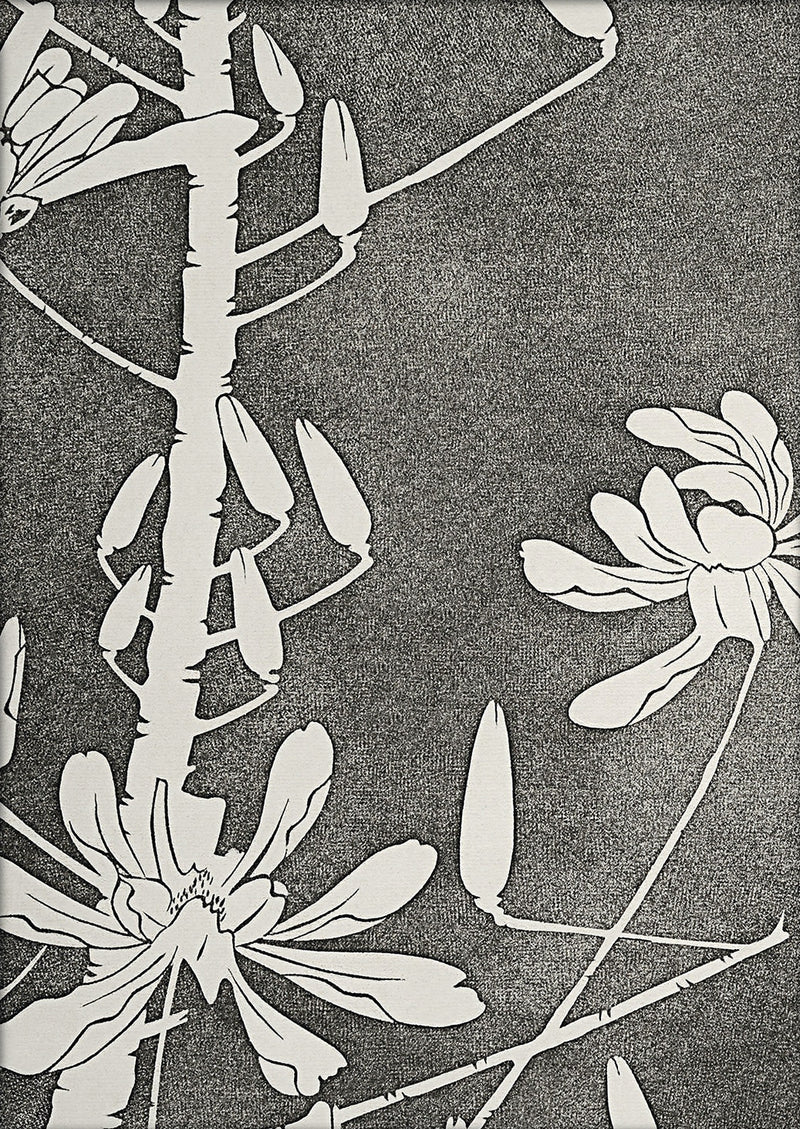 Natural Study III. Mini Print