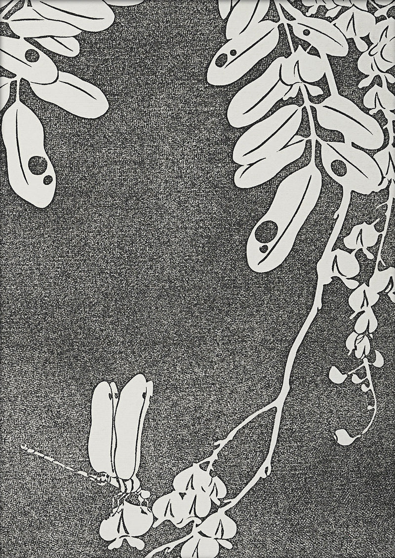 Natural Study VI. Mini Print