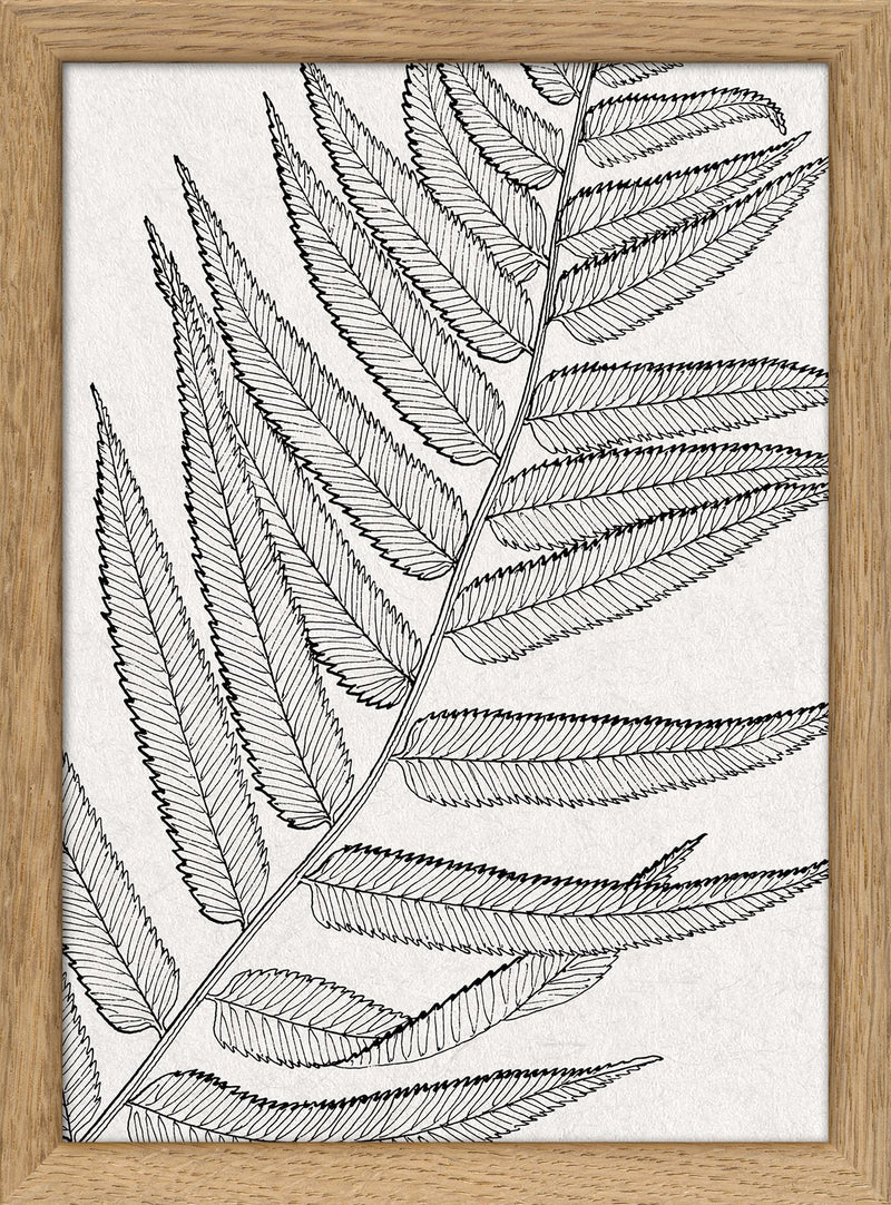 Botanical Study VIII. Mini Print
