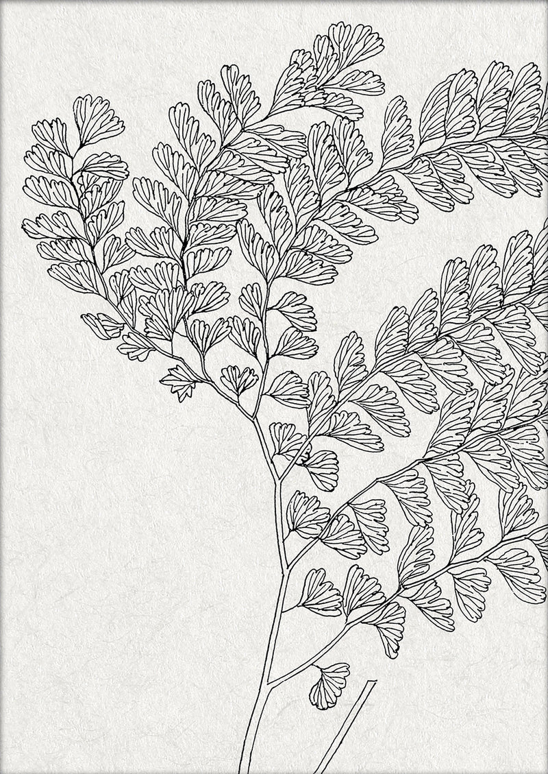 Botanical Study X. Mini Print