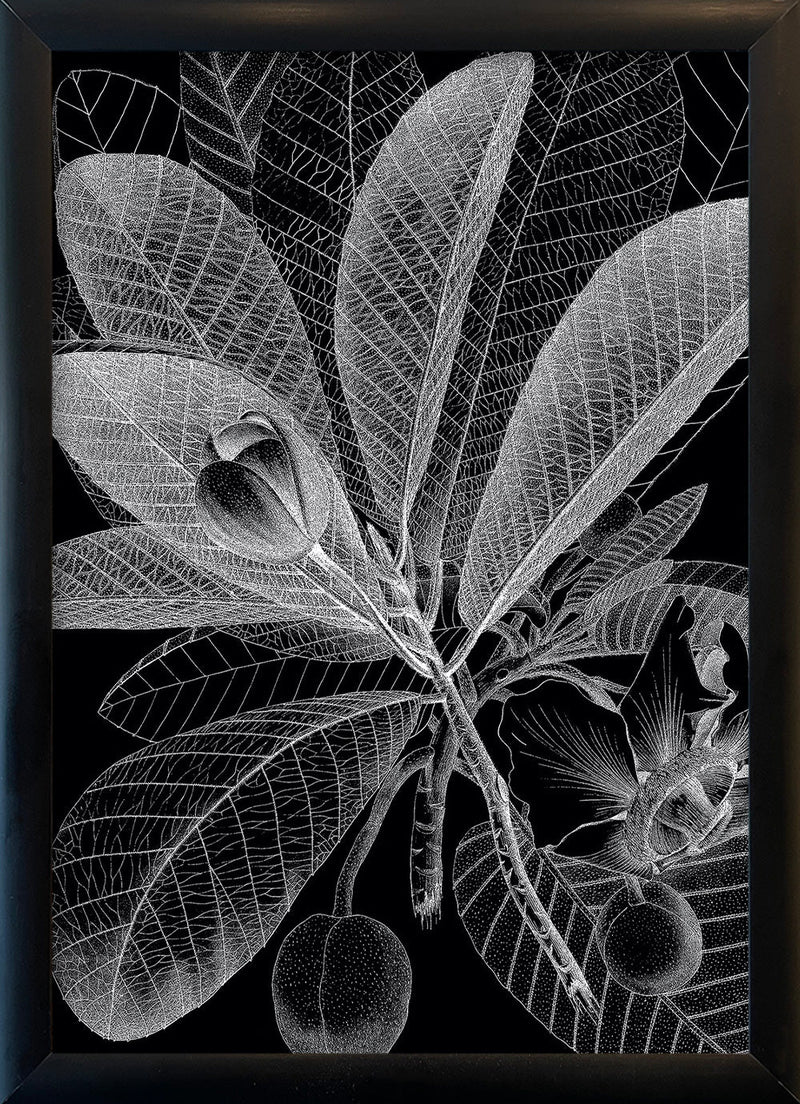 Botanical Study I. Mini Print