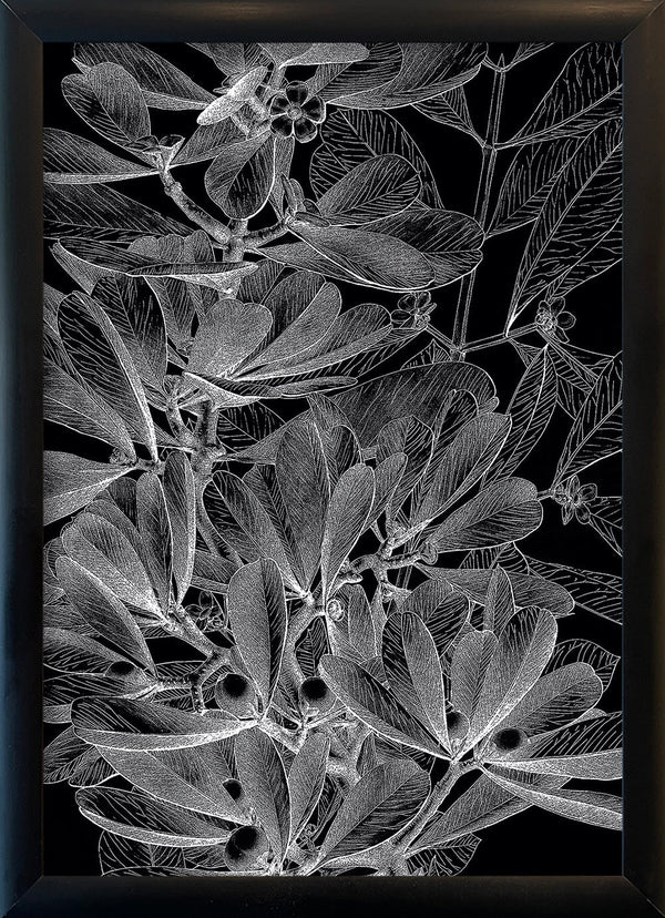 Botanical Study II. Mini Print