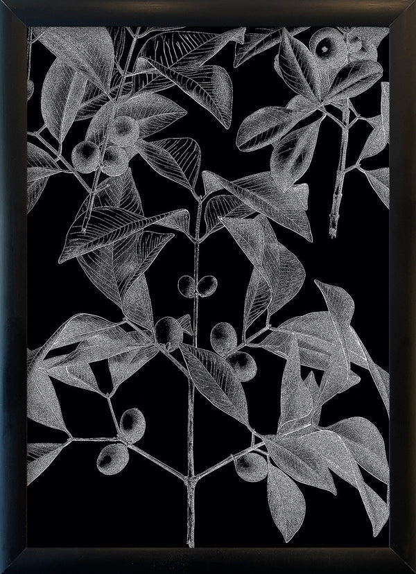 Botanical Study III. Mini Print