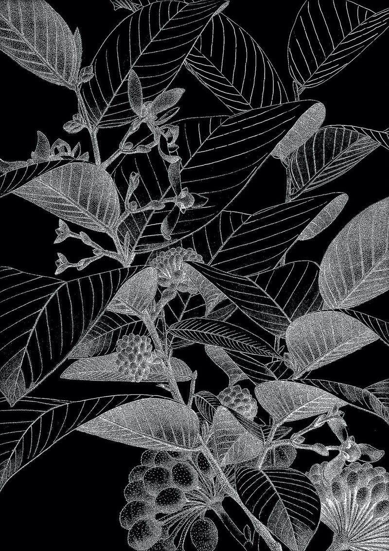 Botanical Study VII. Mini Print