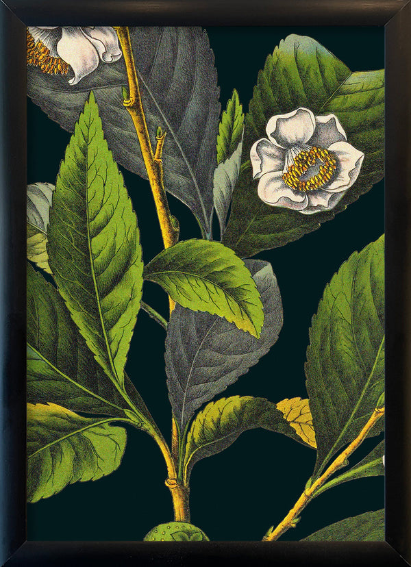 Tea Details. Mini Print