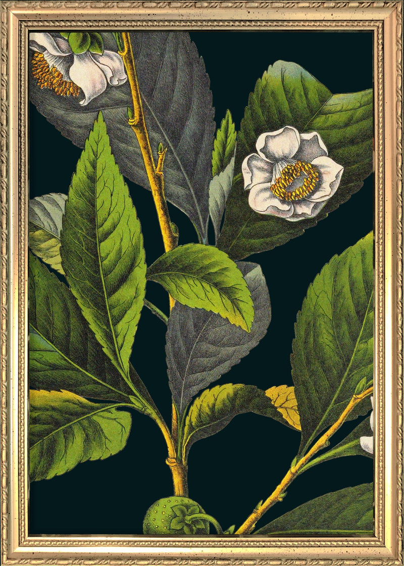 Tea Details. Mini Print