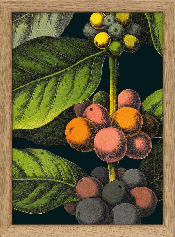 Coffee Details. Mini Print