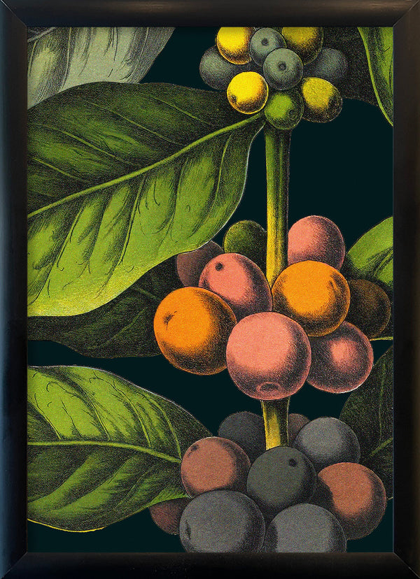 Coffee Details. Mini Print