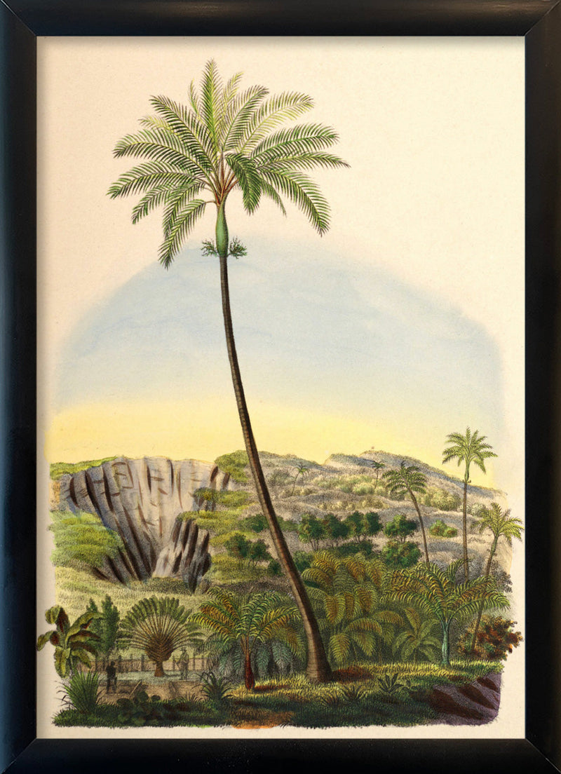 Palmarum I. Mini Print