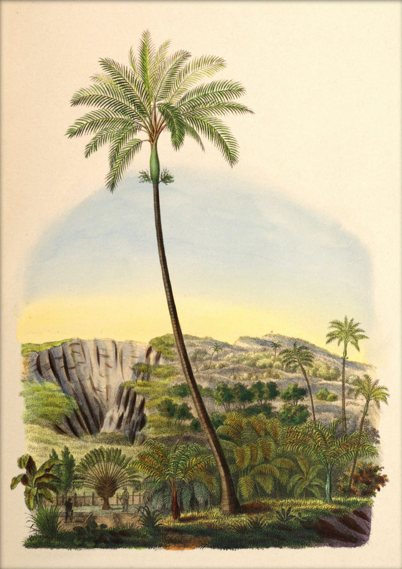 Palmarum I. Mini Print