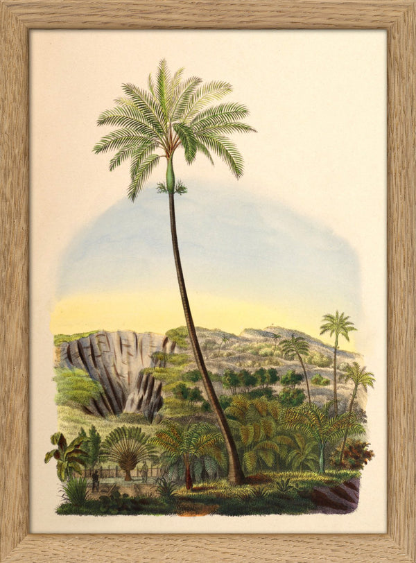 Palmarum I. Mini Print