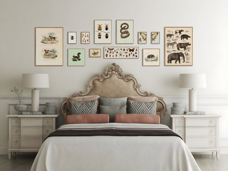 Golden Beetle (white)