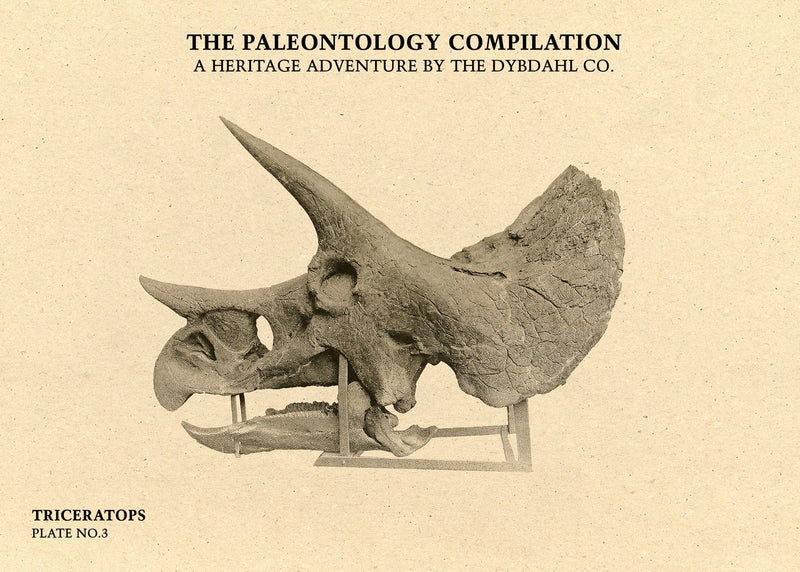 Triceratops Scull. Mini Print