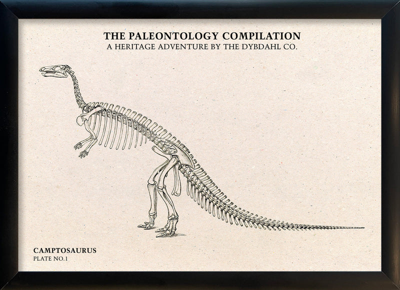 Camptosaurus. Mini Print