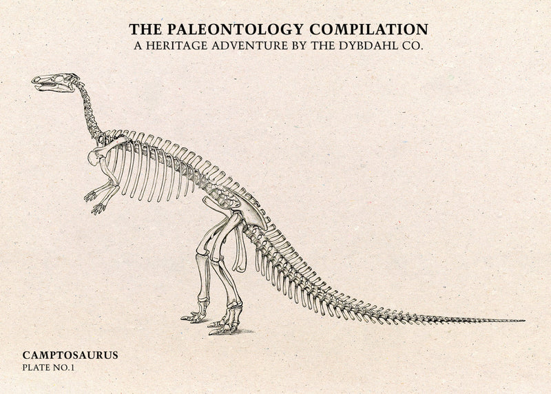 Camptosaurus. Mini Print